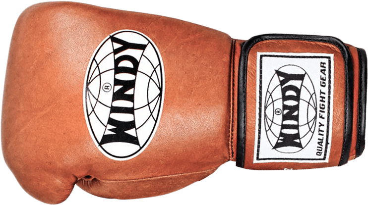 Buy Now - Windy Boxing Gloves Clipart (800x431), Png Download
