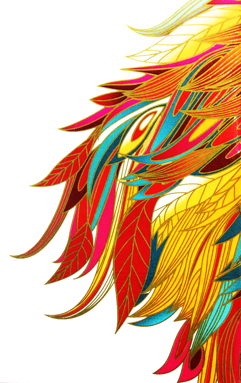 Abstract African Feathers Png Image - African Abstract Png Clipart (806x1280), Png Download