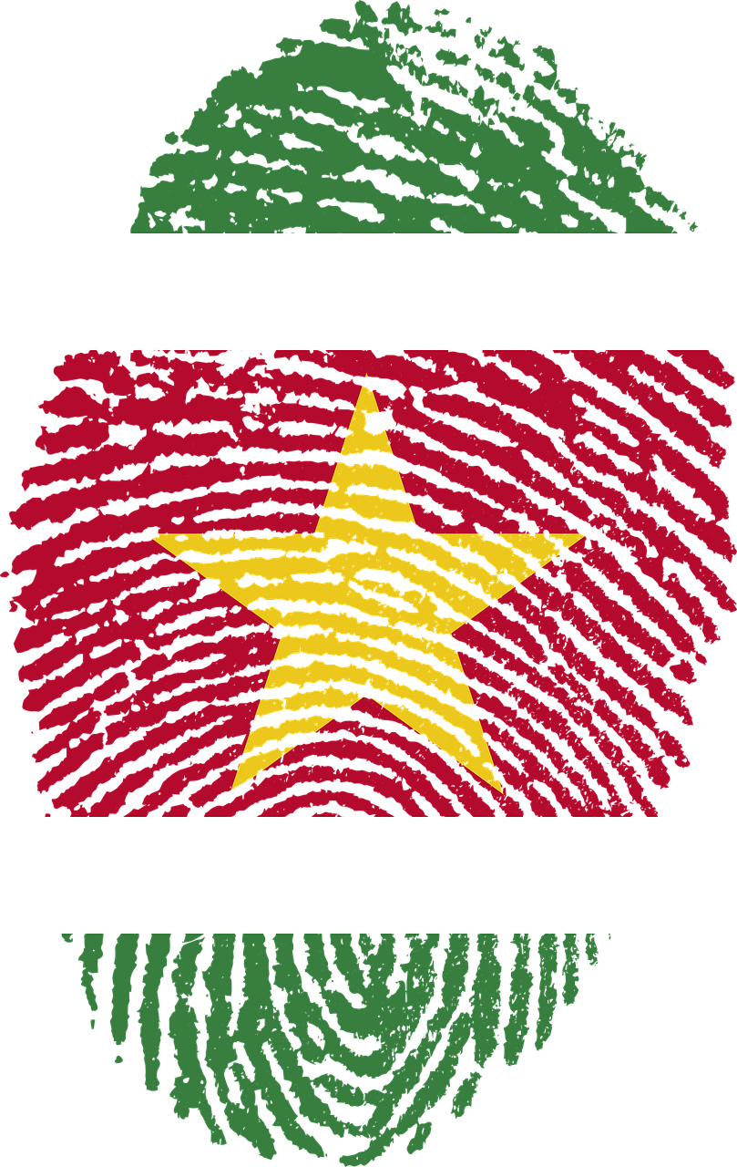 Suriname Flag Fingerprint Png Image - Bangladesh Map In Fingerprint Clipart (809x1280), Png Download