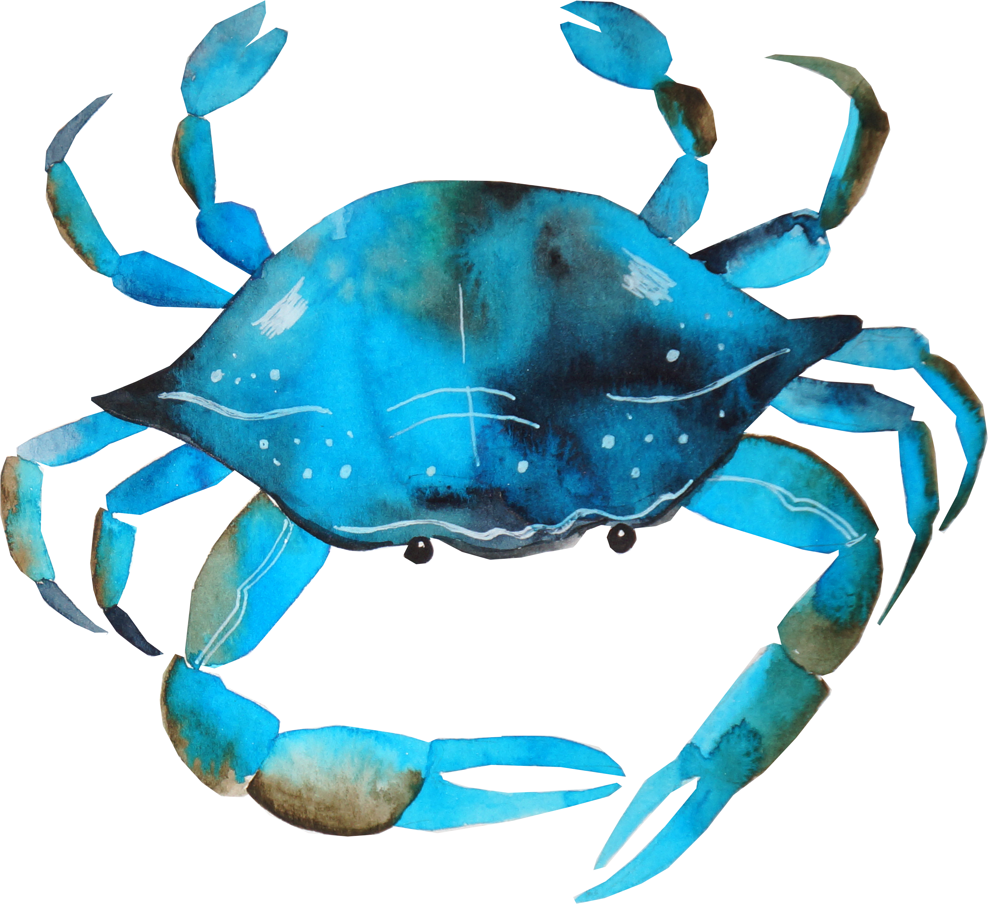 Blue Crab Png - Blue Crab Png Watercolor Clipart (3311x3030), Png Download