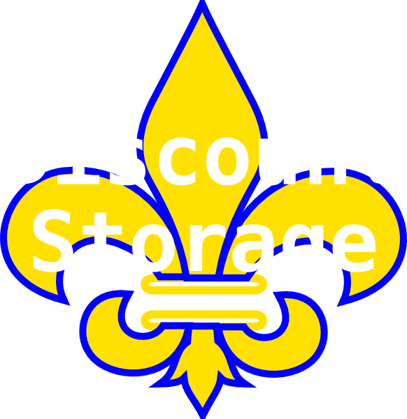 Fleur De Lis Gold With White Svg Clip Arts 582 X 600 - French National Honor Society Logo - Png Download (582x600), Png Download