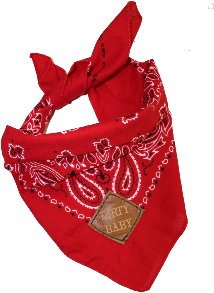 Best Friend Pet Bandanas And Baby Pets - Shoulder Bag Clipart (1024x1024), Png Download