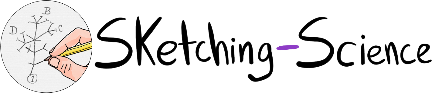 Calligraphy Clipart (1443x306), Png Download