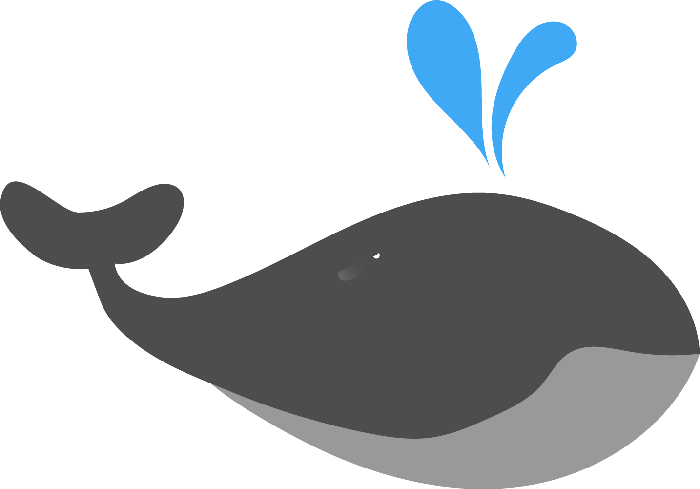 Beluga Whale Png - Cá Voi Phun Nước Clipart (1434x1001), Png Download