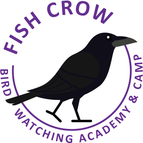 Fish Crow - American Crow Clipart (637x689), Png Download