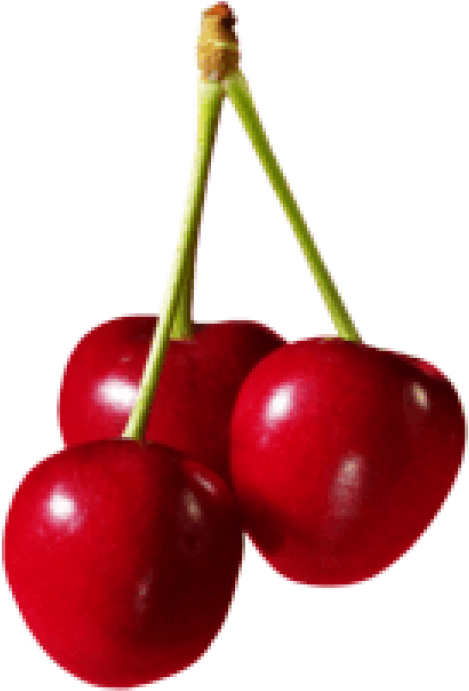 Download Cherries Fruit Clipart Png Photo - Cherries Png Transparent Png (480x710), Png Download