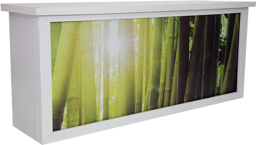 Shadow Bamboo Graphic Bar P , Png Download - Bamboo Header Clipart (847x481), Png Download