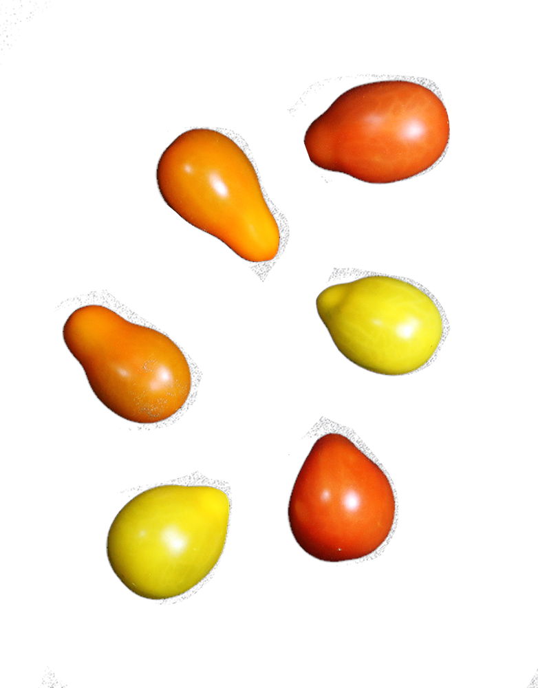 Eminent Cherry Teardrop - Vegetable Clipart (782x1000), Png Download