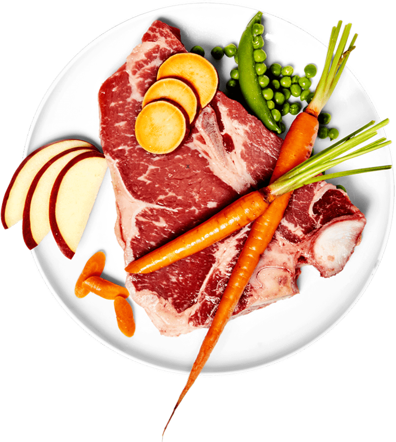 Pet Plate Ingredients On A Plate - Dog Clipart (1024x1024), Png Download