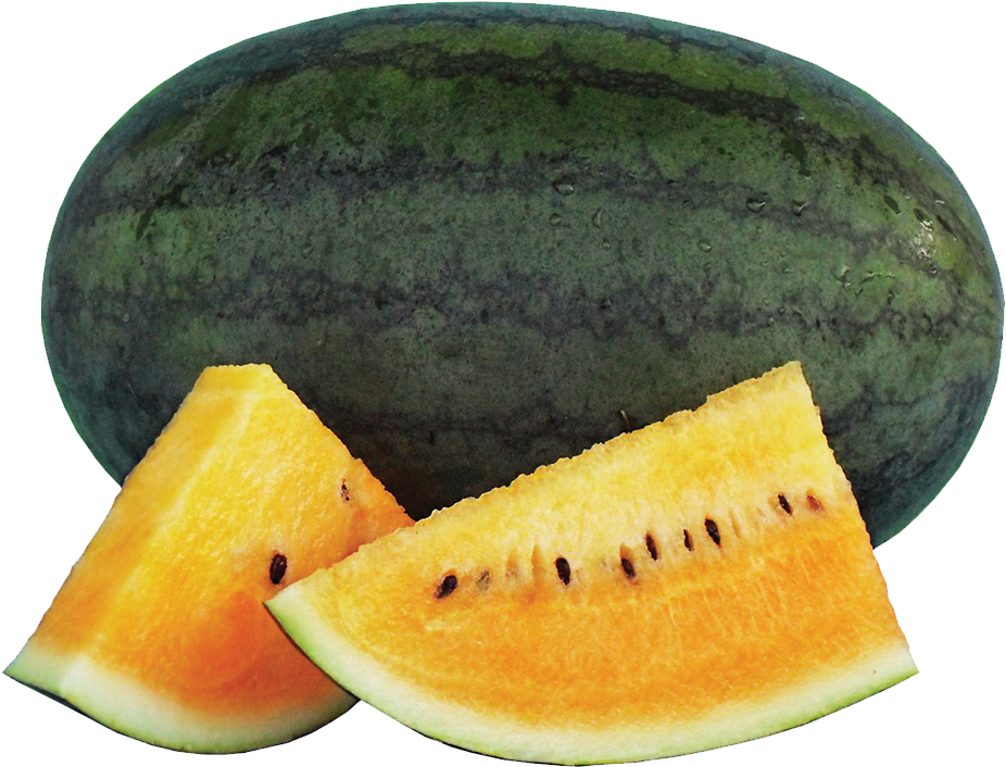 393 Gold Dragon - Papaya Clipart (1200x1200), Png Download