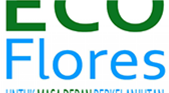 Fresh Clipart (1100x300), Png Download