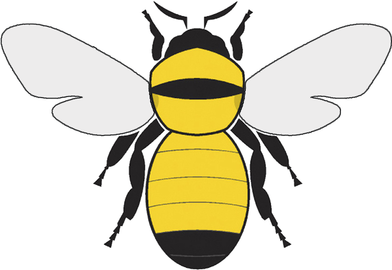 Hive - Softext - Macedonia National Spelling Bee Clipart (815x694), Png Download