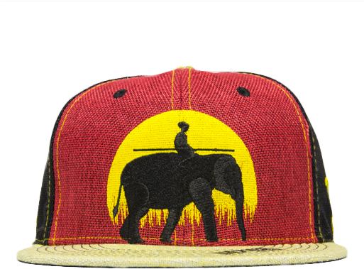 Rasta-elephant - Indian Elephant Clipart (900x500), Png Download