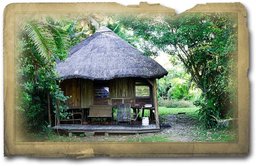 Yellowwood State Forest , Png Download - Thatching Clipart (817x529), Png Download