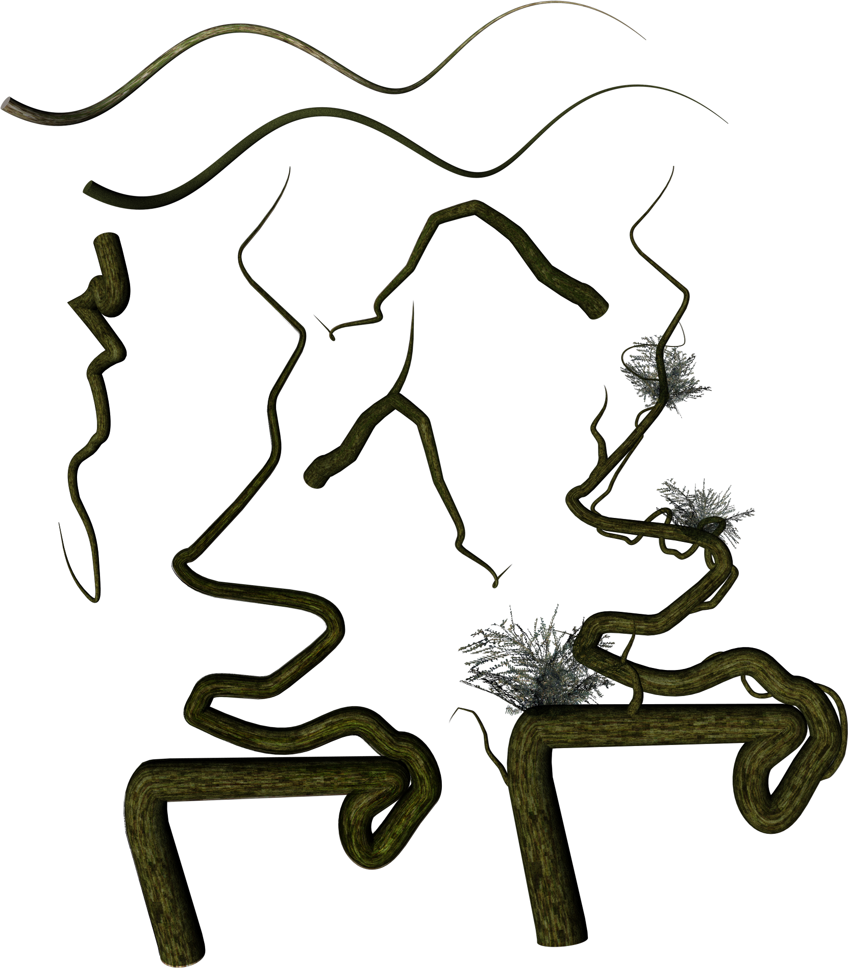 Vines Png - Illustration Clipart (1702x1920), Png Download
