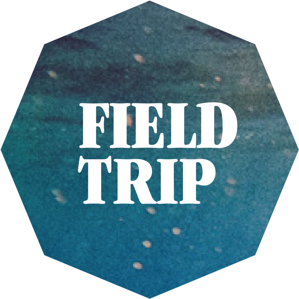 Follow Photo Field Trip On Twitter And Instagram If - Field Trip Clear Background Clipart (1010x1010), Png Download