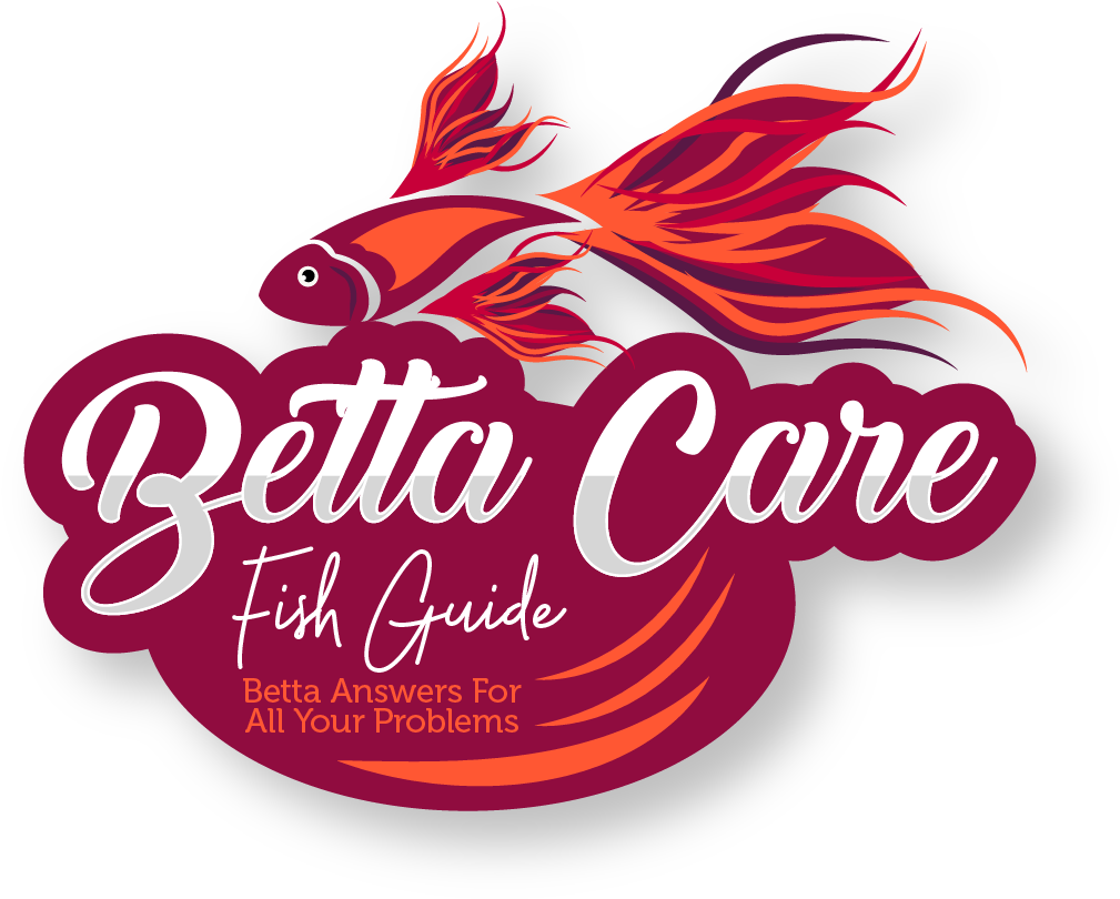 Betta Care Fish Guide - Graphic Design Clipart (1200x858), Png Download