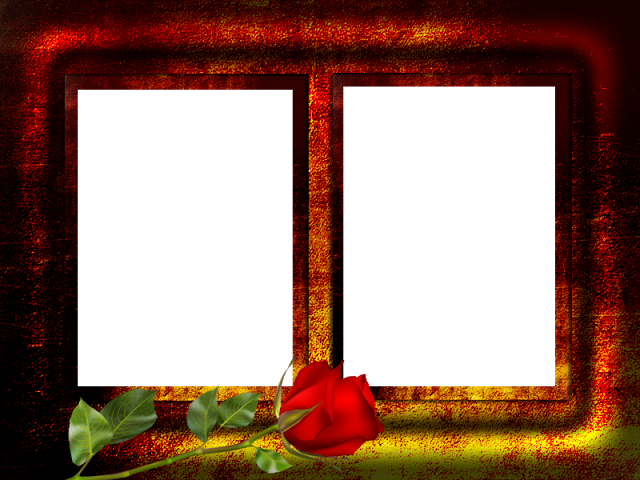 Marco Png - Garden Roses Clipart (640x480), Png Download