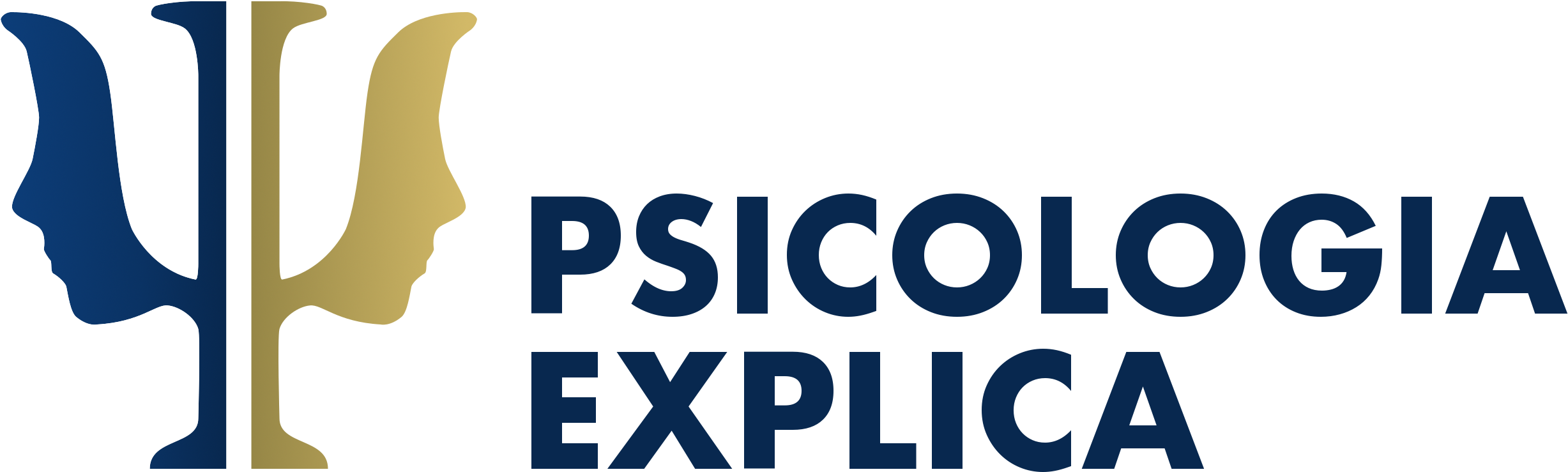 Pe Model-3 Full Transparente - Poster Clipart (2461x807), Png Download