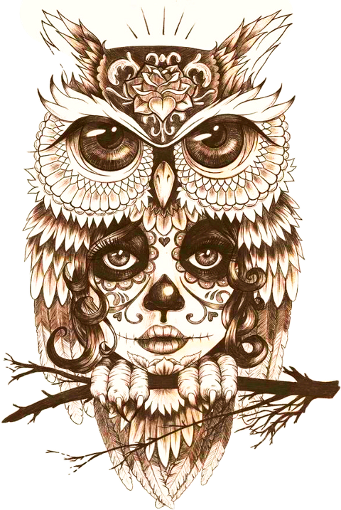 Body Owl Art Tattoo Mystic Drawing Clipart - Owl Tattoo Drawing - Png Download (480x717), Png Download