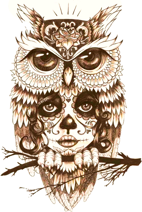 download body owl art tattoo mystic drawing clipart owl