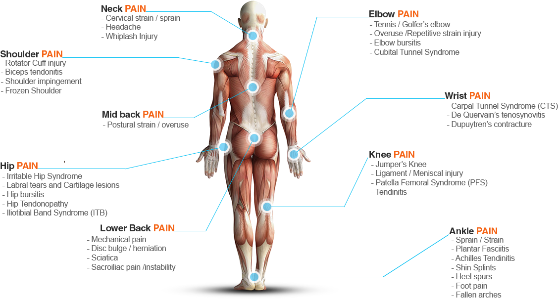 Conditions We Treat - Human Muscular System Png Clipart (1127x605), Png Download