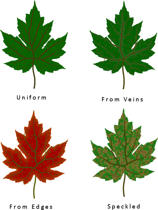 Different Leaf Texture Types - Leaves With Different Texture Clipart (600x700), Png Download