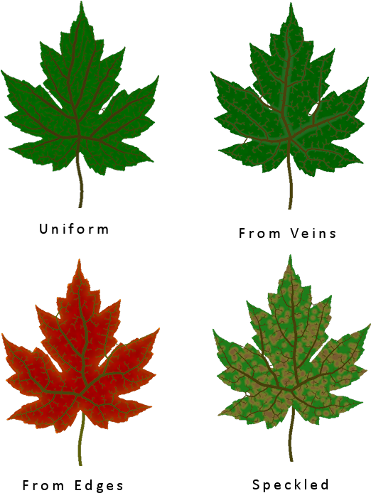 Download Different Leaf Texture Types Leaves With Different Texture