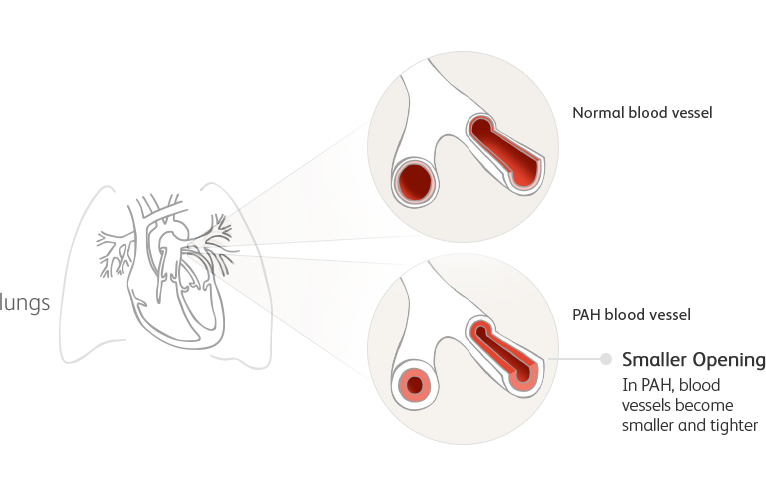 Illustration Clipart (766x496), Png Download