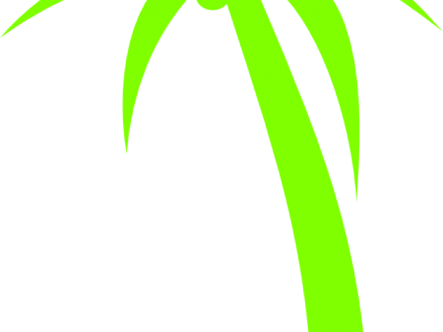 Palm Tree Clipart Plam Tree - Darkness - Png Download (640x480), Png Download