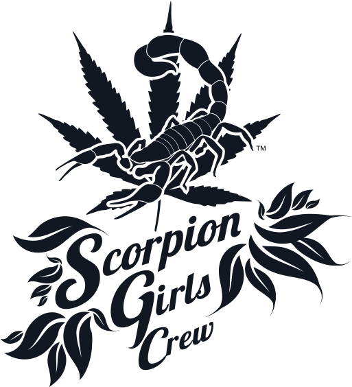 Logo Scorpion Clipart (600x600), Png Download