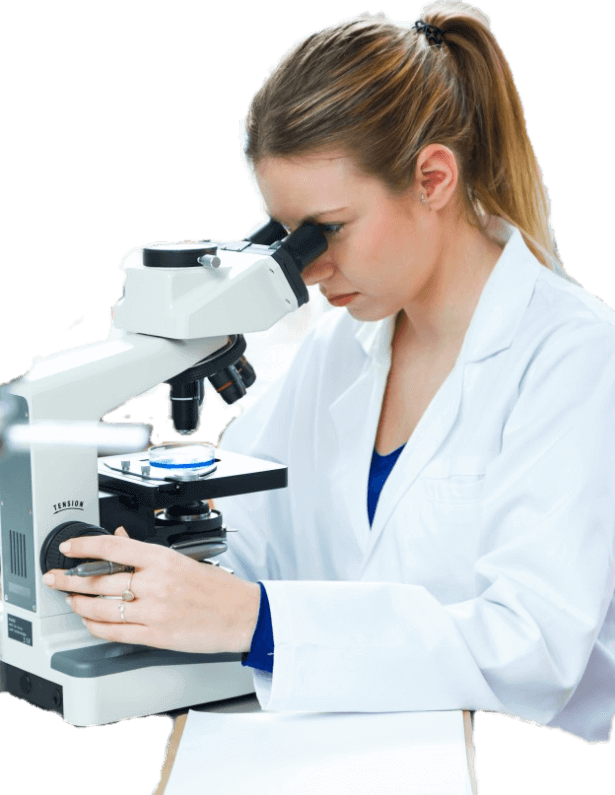 Banner-main - Laboratory Clipart (615x795), Png Download