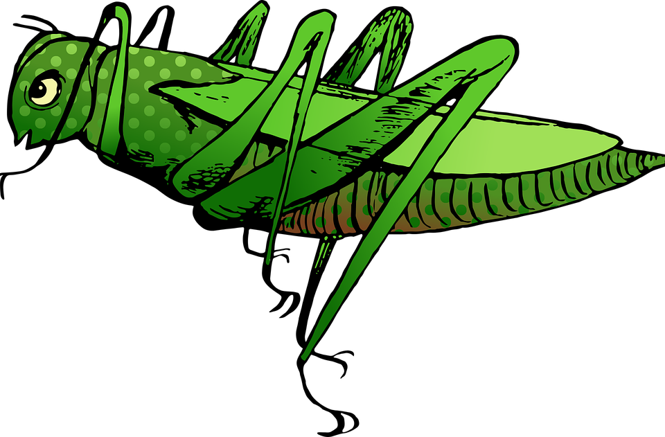 Toxic Antipredator Defense - Locust Cartpom Clipart (960x631), Png Download