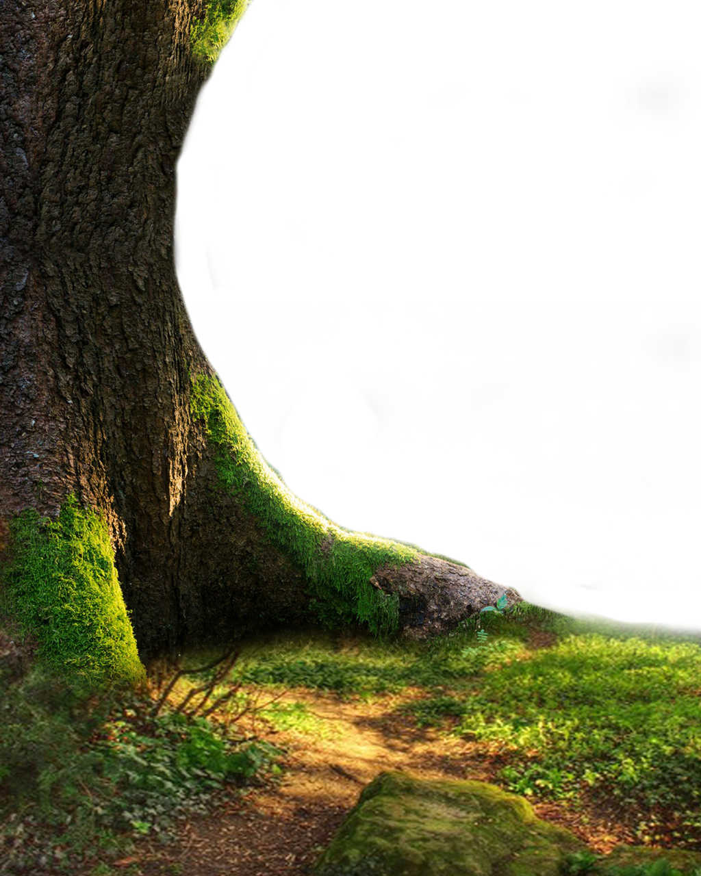 Nature Png Hd - Png Tree Full Hd Clipart (1024x1280), Png Download