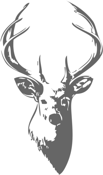 Drawing Elk Head - Munster Rugby Tattoo Clipart (600x1080), Png Download