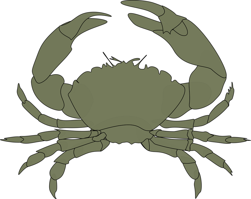 Collection Of Red Crab Cliparts Buy Any Ⓒ - Green Crab Clipart - Png Download (958x758), Png Download
