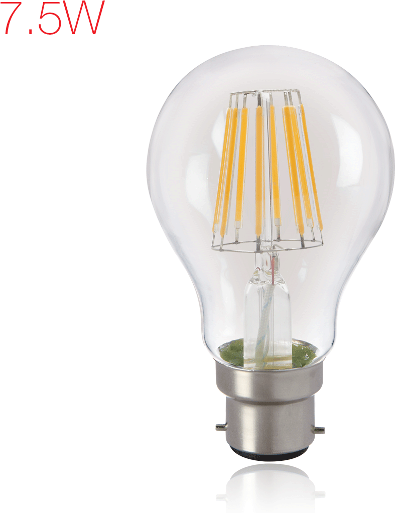Brightfill Led Filament A60 - Incandescent Light Bulb Clipart (787x1022), Png Download