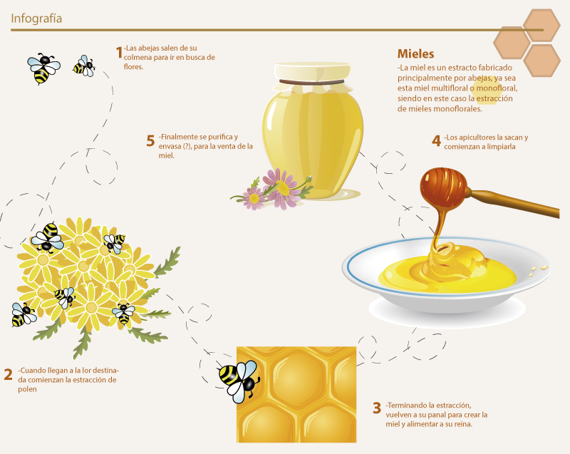 De Dónde Viene La Miel - Honey Vector Clipart (800x637), Png Download