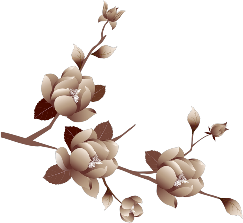 #flower #vintage #flowers #garden #brown #gold #nature - Background Flower No Background Clipart (1024x1024), Png Download