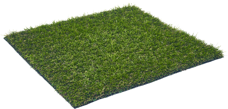 Grassland Apple - Lawn Clipart (1000x639), Png Download