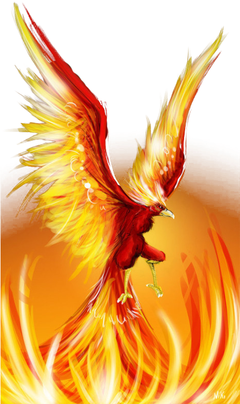 Fire Wing Png Clipart (468x787), Png Download