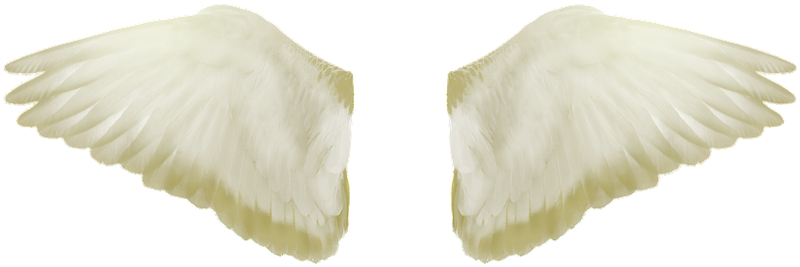 Wings, Flight, Freedom, Flying, Fly, Png - Fly Png Clipart (960x639), Png Download