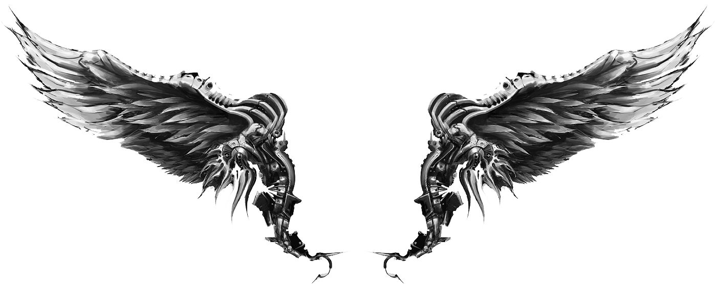 Wings Tattoos Death Angel Png - Black Wings White Background Clipart (1407x705), Png Download