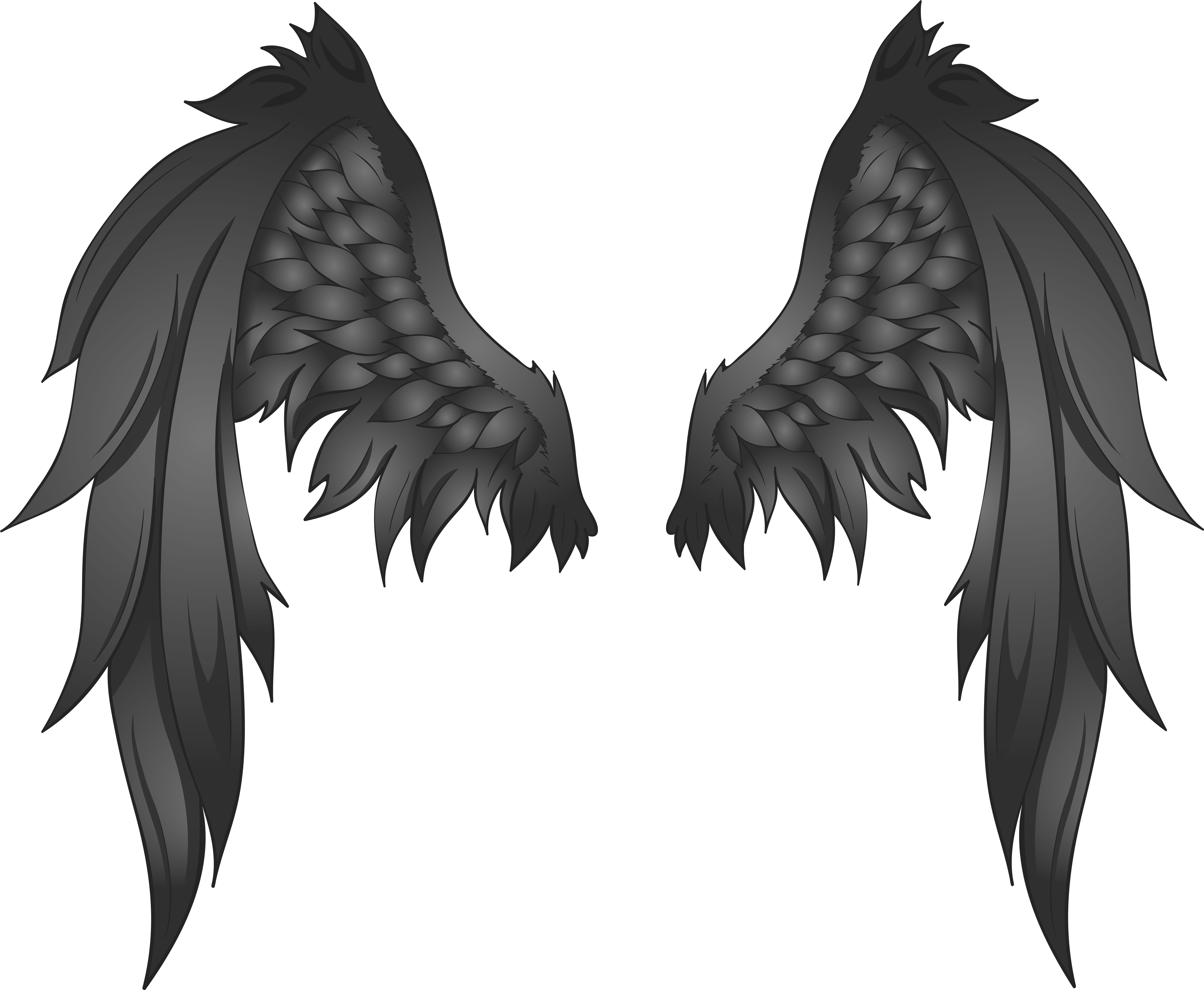 Black Wings Transparent Png Image Clipart (8000x6577), Png Download