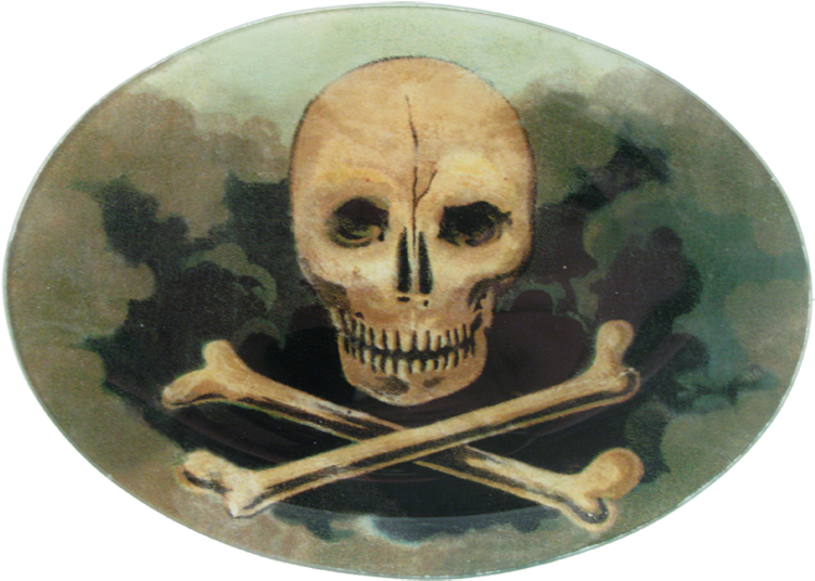 Skull Clipart (800x800), Png Download