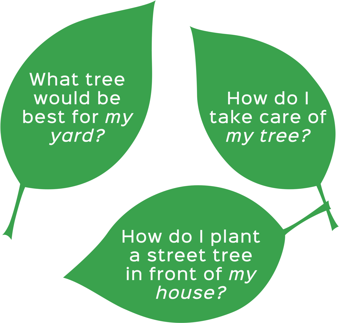 Street Tree Png Clipart (1500x1688), Png Download