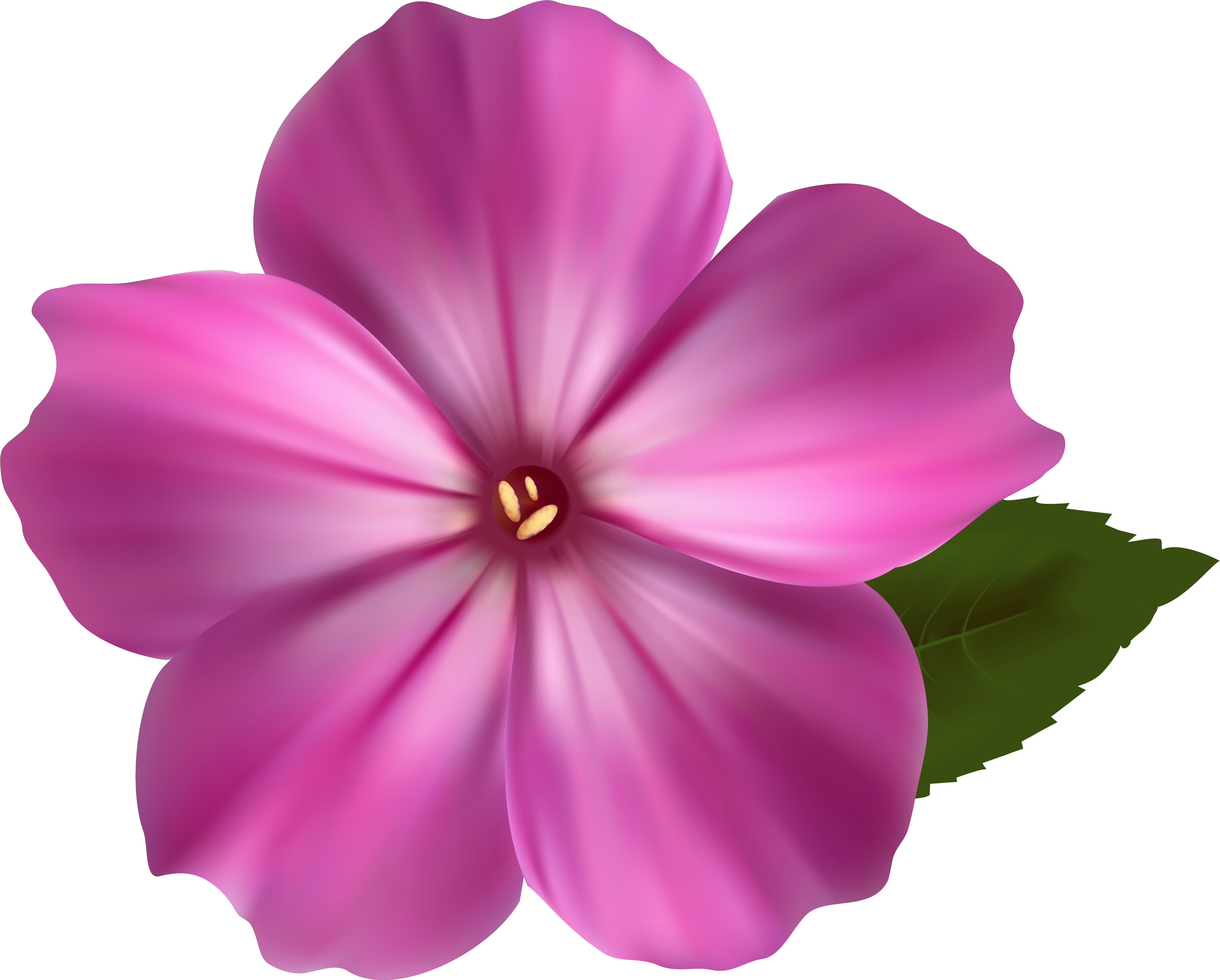 Flower Png Image Pink Clipart Png Images - Pink Flowers Clip Art Transparent Png (6278x5088), Png Download