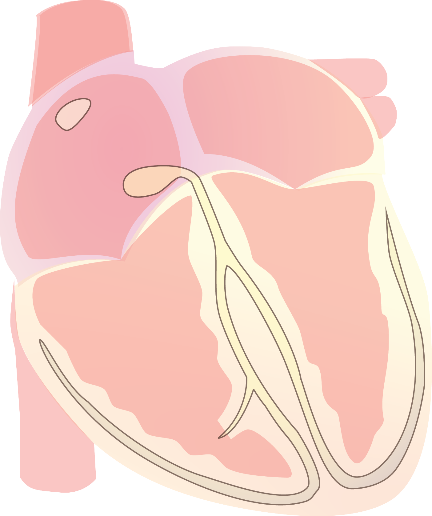 Heart Vector Electrical S Wave - Illustration Clipart (1404x1677), Png Download