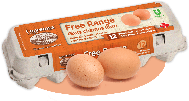 Free Range Eggs - Free Range Eggs Png Clipart (800x490), Png Download