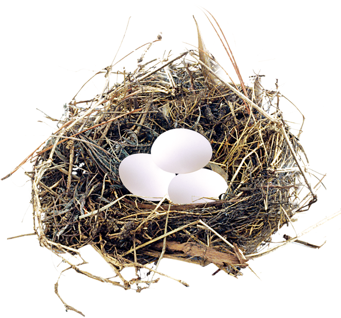 Eggs In A Nest Png - Poultry Clipart (1200x1200), Png Download